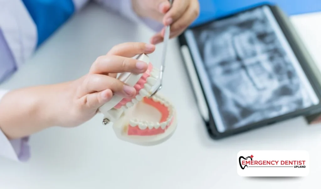 How Dentists Determine the Cause